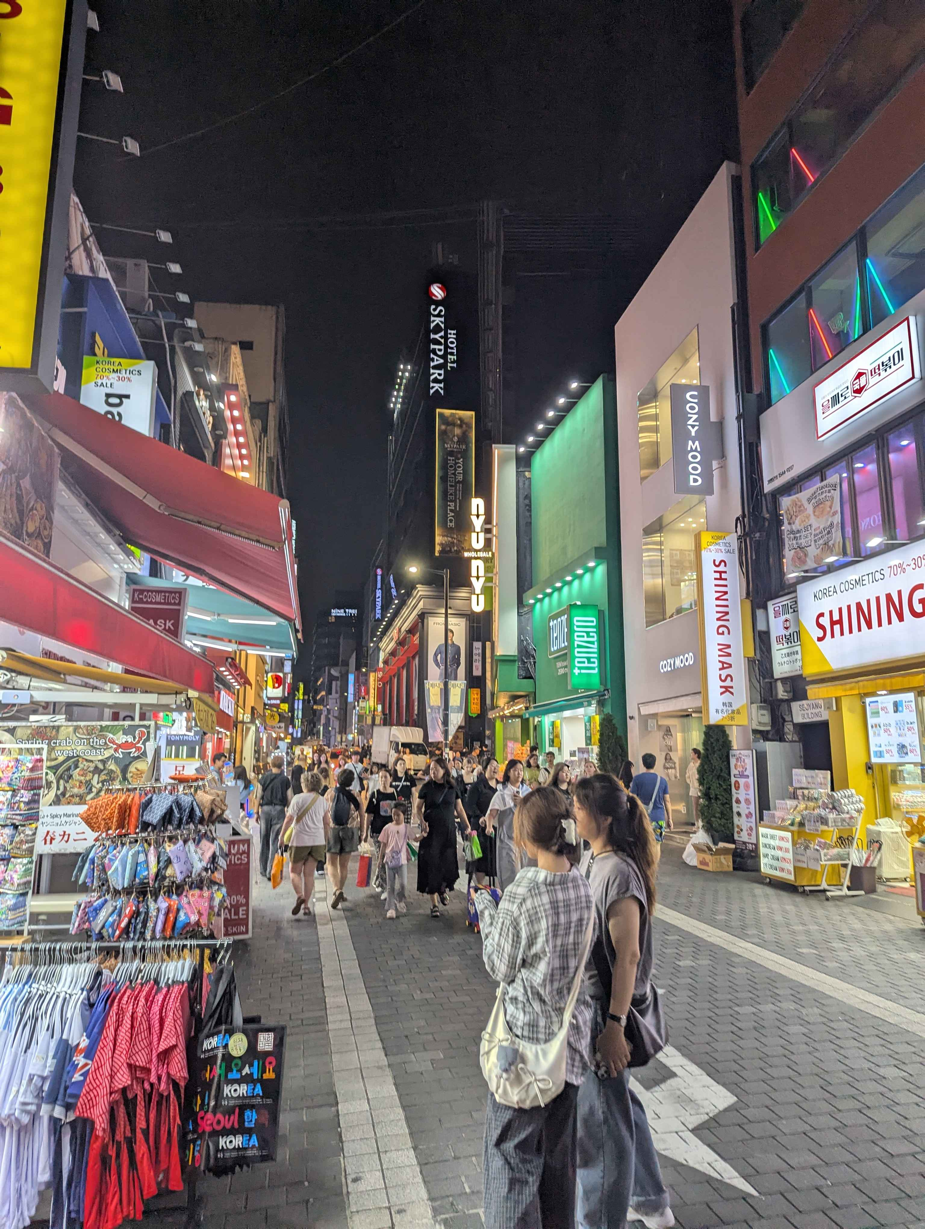 walking in seoul nights